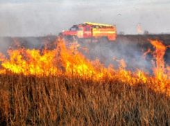 Из-за особого противопожарного режима в Волжском запретили разводить костры, гулять и жарить шашлык в лесополосе 