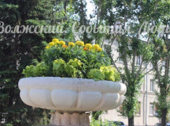 В Волжском расцветает все больше клумб