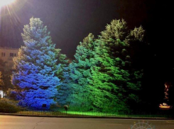 Елочки в центре Волжского обретут новую подсветку