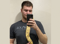 Как 19 змей живут в квартире волгоградца