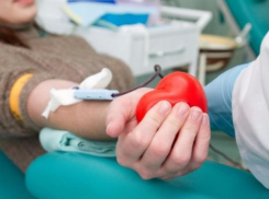 Полсотни студентов в Волжском добровольно сдали кровь