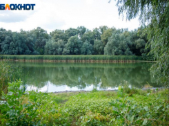 День Фаддея волжанам лучше провести в кругу семьи