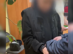 Подозреваемый в отравлении лошадей в Волжском отпущен под подписку о невыезде