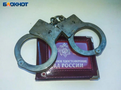 Отец-клеветник из Волжского получил 8 лет колонии за ложный донос на бывшую жену и вовлечение детей в преступление