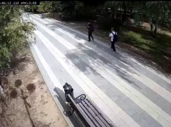 Волжские школьники устроили разгром в сквере: вандалы попали на видео