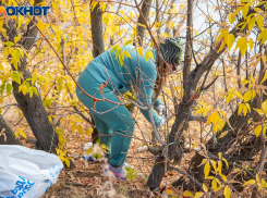Чем заняться на даче в ноябре: полезная шпаргалка для волжского дачника