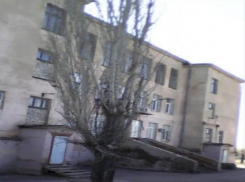 Архив города Волжского занял призовое место во Всероссийском отраслевом конкурсе