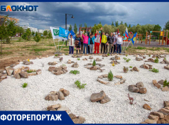 «Создавая мир вокруг себя»: в Волжском люди с ментальными нарушениями высадили рокарий у инклюзивной площадки