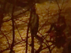 Красный Mercedes получила волжанка в подарок на 8 марта