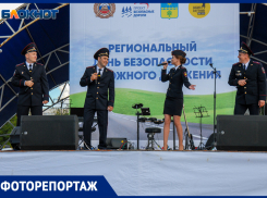В Волжском состоялся День безопасности дорожного движения: фоторепортаж