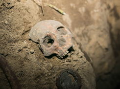 Город на костях: в Волжском коммунальщики во время работ наткнулись на человеческие останки