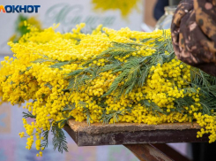 Перед 8 Марта в Волжском усилят рейды против стихийной продажи цветов