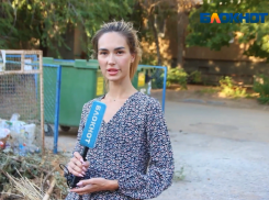 Нашествие тараканов, отсутствие парковки и дворников: что скрывает 9 микрорайон Волжского