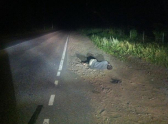 Ночью пьяный водитель сбил подростка под Волжским