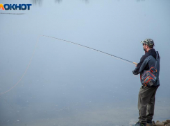 В Волжском названы победители рыболовного фестиваля «ВОЛЖСКАЯ FISHка»