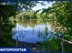 Как Озеро Лотосов под Волжским попало в список лучших водоемов России