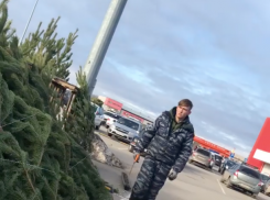 Пранкер-блогер из Волжского озадачил мрачных продавцов елок