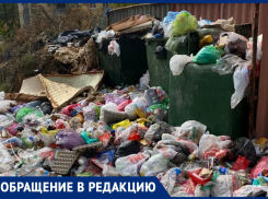 «Антисанитария сплошная, скоро крысы в дом попадут», - волгоградка возмущена состоянием двора