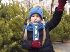 Волгоградцы поделились секретами выбора и украшения новогодней елки