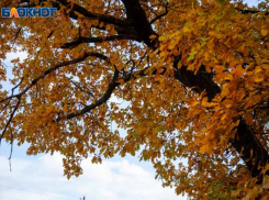 Темное небо и сильный восточный ветер: прогноз погоды в Волжском