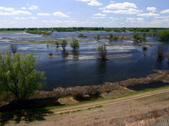 Волго-Ахтубинская пойма находится под стражей сотрудников природного парка и МЧС России