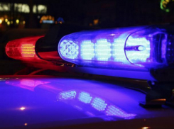 В Волжском пьяного лихача, гнавшего по «встречке», остановило дерево