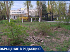 Куда делись сосны и почему не убирают аллею? Волжане задают вопросы по 26 микрорайону