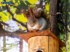 Почему в субботу можно проспать свою судьбу: советы волжской травницы