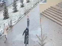 Грабеж средь бела: погоня за вором в Волжском попала на видео