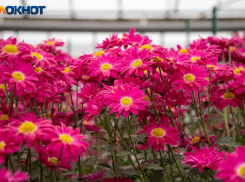 Звезды советуют не вступать в бессмысленные споры: гороскоп на 27 ноября