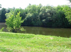 Волжан предупреждают о чрезвычайной пожароопасности в регионе