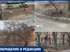 «Лицо города в ужасном состоянии»: волжская УК отказалась убирать двор, сославшись на платные услуги