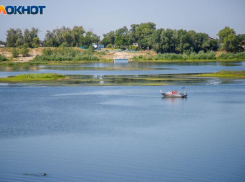 Паразиты в водоемах: мониторинг воды и почвы провели в Волжском