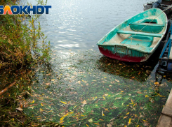 В Волгоградской области в Волге обнаружили 22 опасных затонувших судна