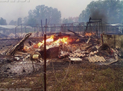 Неравнодушных горожан попросили о помощи пострадавшим от многочисленных пожаров в Волжском