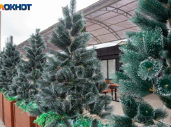 День, когда лучше не испытывать судьбу