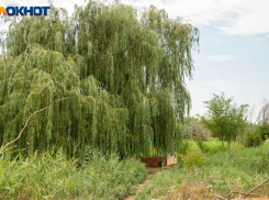 Борис и Глеб - день мира и предвестий. Что можно и нельзя делать