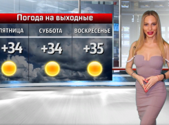 Ловись рыбка большая и маленькая: Катя Американо о погоде в Волжском на выходных