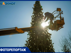 Новогоднюю красавицу установили в Волжском: фоторепортаж