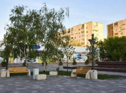 Волжане обсудили в соцсетях выбор названия для площади в 18 микрорайоне