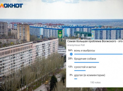 Волжане определили фронт работ для чиновников: основные проблемы