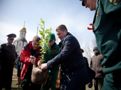 Волгоградский проект стал одним из лучших во всероссийском конкурсе «Лес Победы»