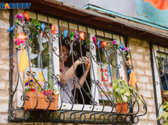 Волжане могут присоединиться к акции «Окна Победы»