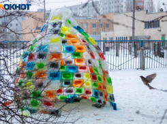 Аномальные морозы до -35 градусов ожидают жителей Волгоградской области