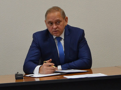УФАС пригрозил мэру Волжского Игорю Воронину дисквалификацией за незаконную сдачу земли 