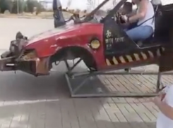 Кибер-паука изувечили в Волжском с «показным издевательством»