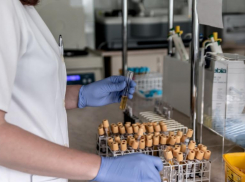 Главное о COVID-19 на 23 апреля в Волгоградской области