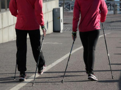 Волжская городская Дума закупает палки для скандинавской ходьбы