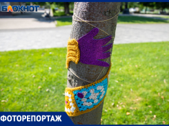 Волжские рукодельницы одели деревья в вязанные кофточки в центральном парке