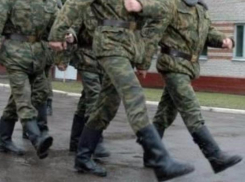 Топтать кирзу отправились 14 юношей из Волжского